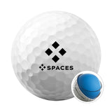 Titleist® Pro V1® Golf Ball Half Dozen Std Serv Imprinted with Logo (Q171222)