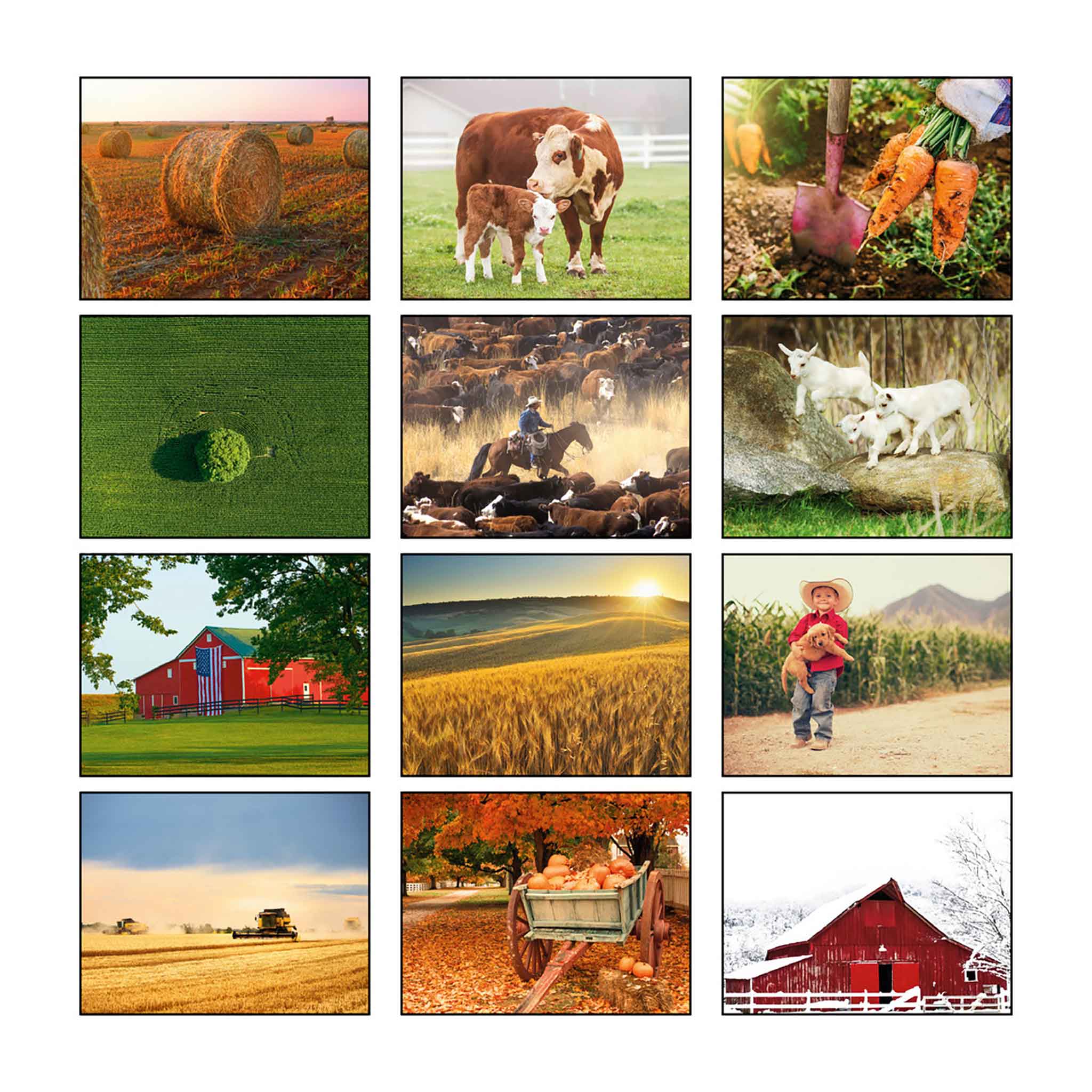 American Agriculture Wall Calendars - Spiral (Q342011)