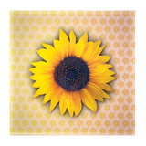 11.75 x 11.75 Inch 5D Signage Imprinted with Logo (Q376822)