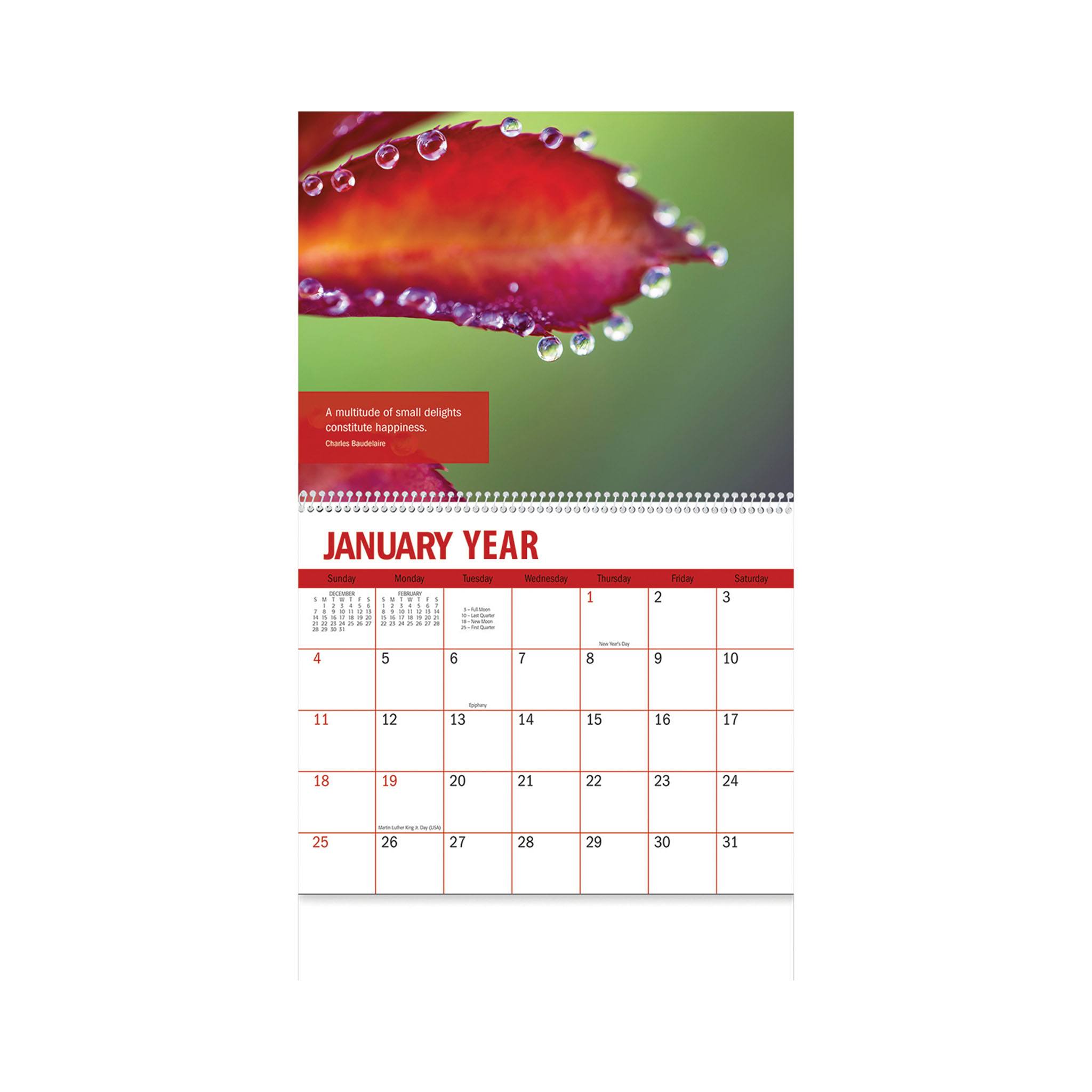 2026 Inspiration Wall Calendar - Spiral (Q442222)