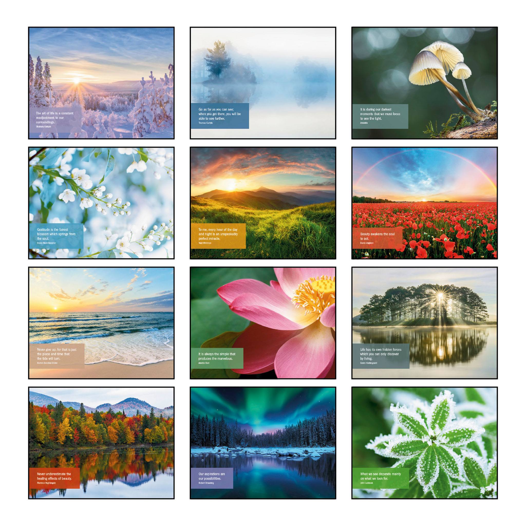 2026 Inspiration Wall Calendar - Spiral (Q442222)