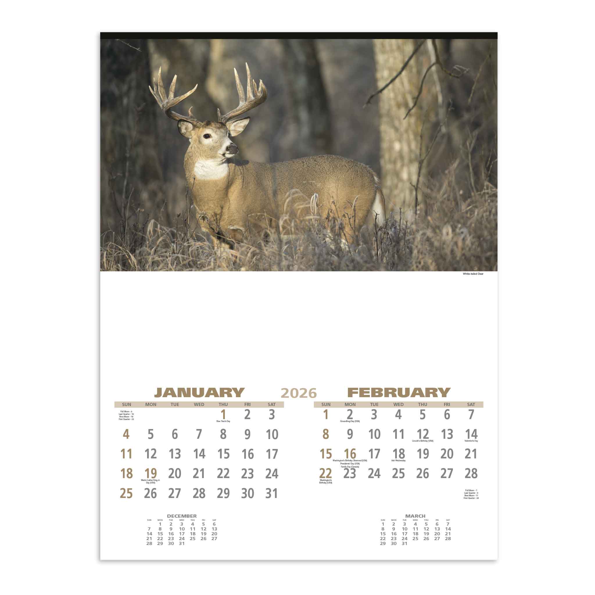 Wildlife Calendar (Q674722)
