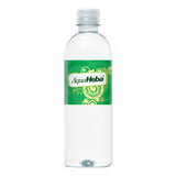 16.9 Oz. Aquatek Bottled Water Imprinted with Logo (Q753911)