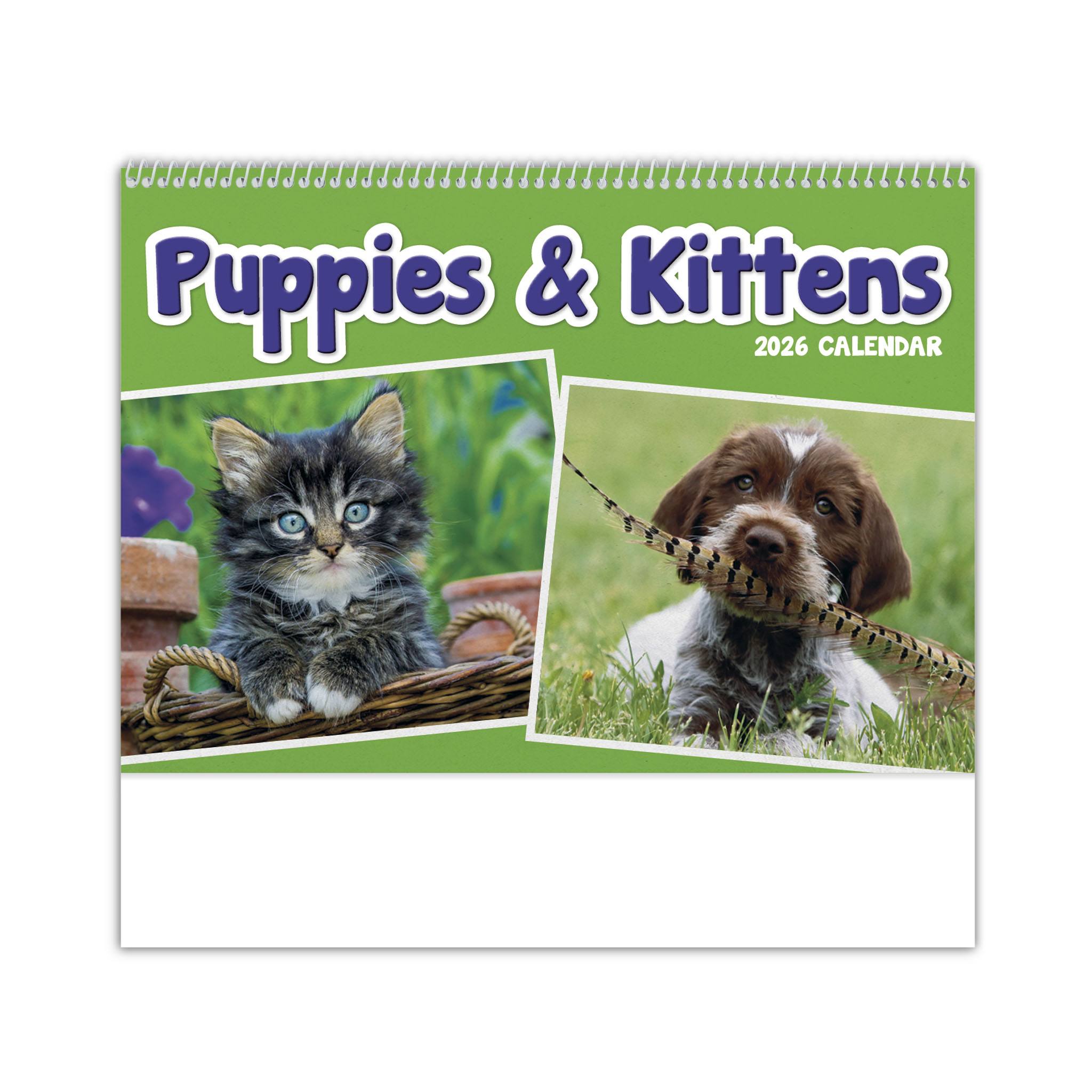 Puppies & Kittens Pocket Calendar (Q755722)