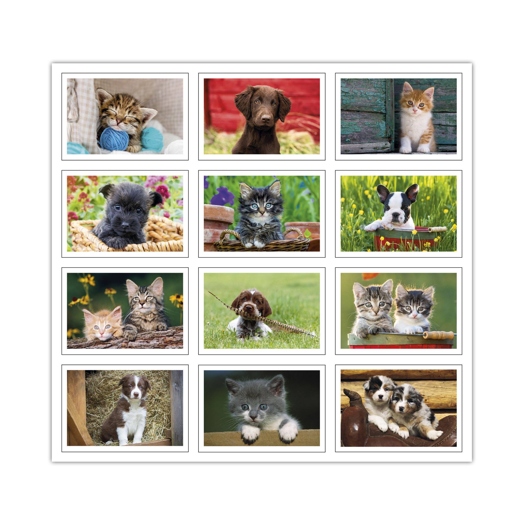 Puppies & Kittens Pocket Calendar (Q755722)