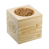 Sprigbox Cilantro Grow Kit Imprinted with Logo (Q819211)