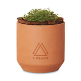 Modern Sprout® Tiny Terracotta Grow Kit Thank You Daisies Imprinted with Logo (Q826332)