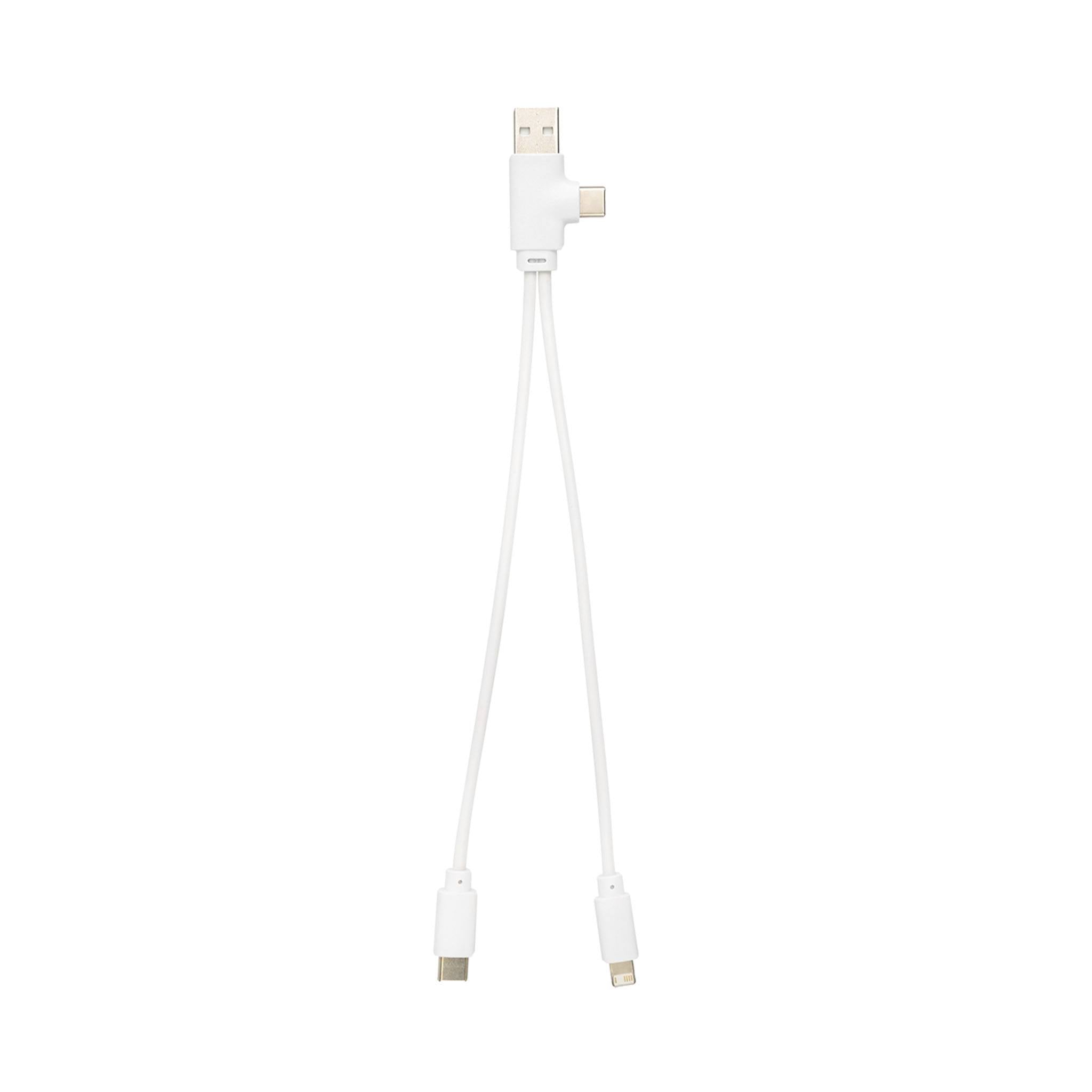 Dual Connect Recycled Multi-Charging Cable (Q965122)