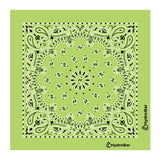 22 In Traditional USA Paisleys Bandana - Lime-Green Imprinted with Logo (Q136522)