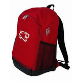 The Large Padded Back Multi Pocket Hikers Backpack Imprinted with Logo (Q196422)