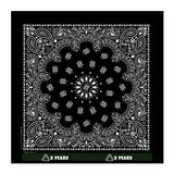 22 In Traditional USA Paisleys Bandana - Black Imprinted with Logo (Q226522)