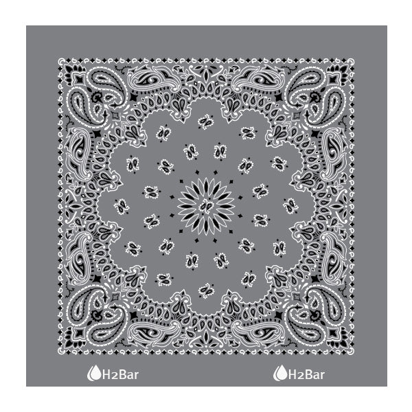 Custom 22 In Traditional USA Paisleys Bandana - Charcoal (Q236522