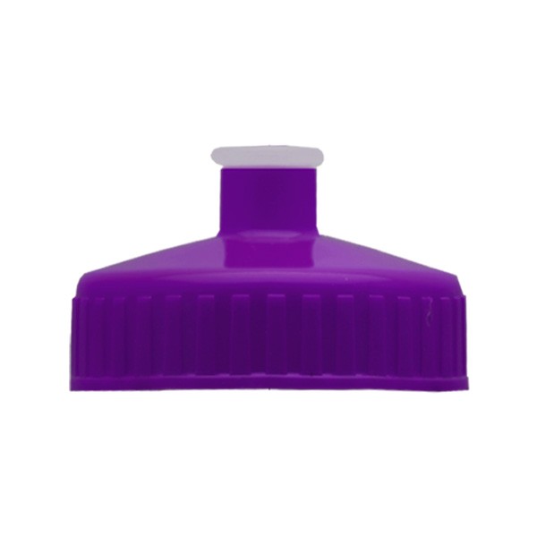 28 Oz. Champion Transparent Color Bottle (Q243722)