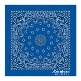 22 In Traditional USA Paisleys Bandana - Royal Blue Imprinted with Logo (Q606522)