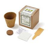 Thyme Growables Planter In Kraft Gift Box Imprinted with Logo (Q680422)