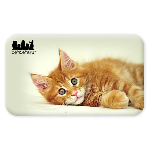 30 Mil Rounded Corners Business Card Magnet (Q765311)
