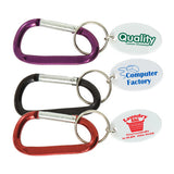 Small Metal Carabiner Keytags Imprinted with Logo (Q893411)