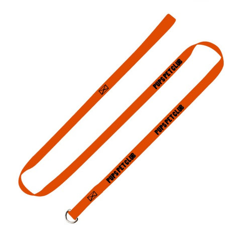 3/4" Nylon Pet Slip Leashes (Q932811)