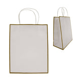 Laminated Paper Gift Bag (Q104522)