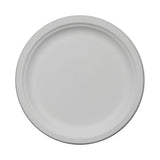 American Tradition 10 Inch Eco - Plate (Q107332)
