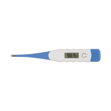 Two-Tone Digital Thermometer (Q114065)