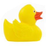Duck With Wings (Q120822)