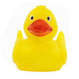 Duck With Wings (Q120822)