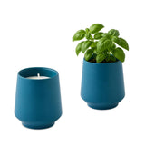 Modern Sprout® Rooted Candle (Q124632)