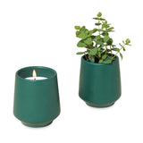 Modern Sprout® Rooted Candle (Q124632)