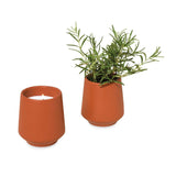 Modern Sprout® Rooted Candle (Q124632)