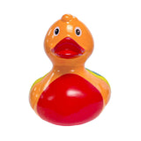 Rainbow Duck (Q130822)