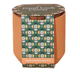 Modern Sprout® Tiny Terracotta Grow Kit Good Luck Clover (Q136332)