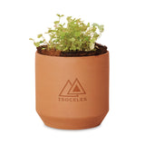 Modern Sprout® Tiny Terracotta Grow Kit Good Luck Clover  Imprinted with Logo (Q136332)