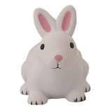Rabbit Stress Reliever (Q139122)
