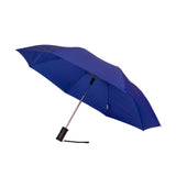 The Auto Open Folding Umbrella (Q146422)