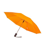 The Auto Open Folding Umbrella (Q146422)