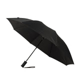 The Auto Open Folding Umbrella (Q146422)
