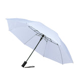 The Auto Open Folding Umbrella (Q146422)