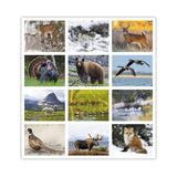 North American Wildlife Calendar (Q155722)