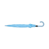 LiteGuard Umbrella (Q168432)