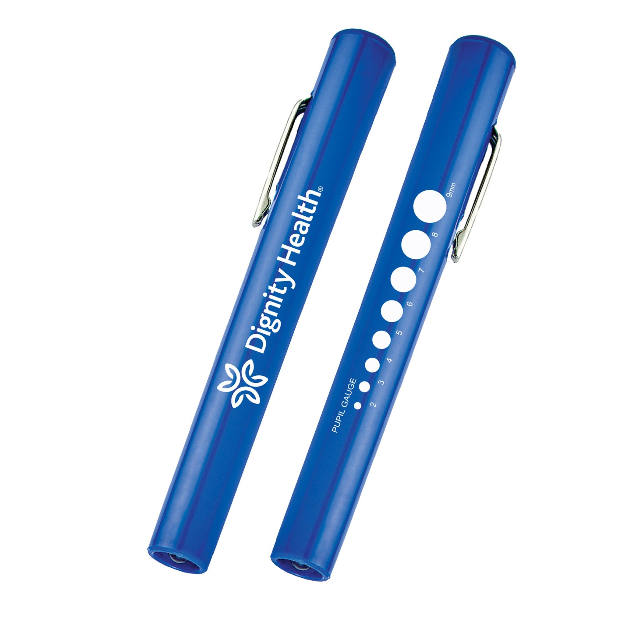 Medical Penlight With Pupil Gauge (Q168532)