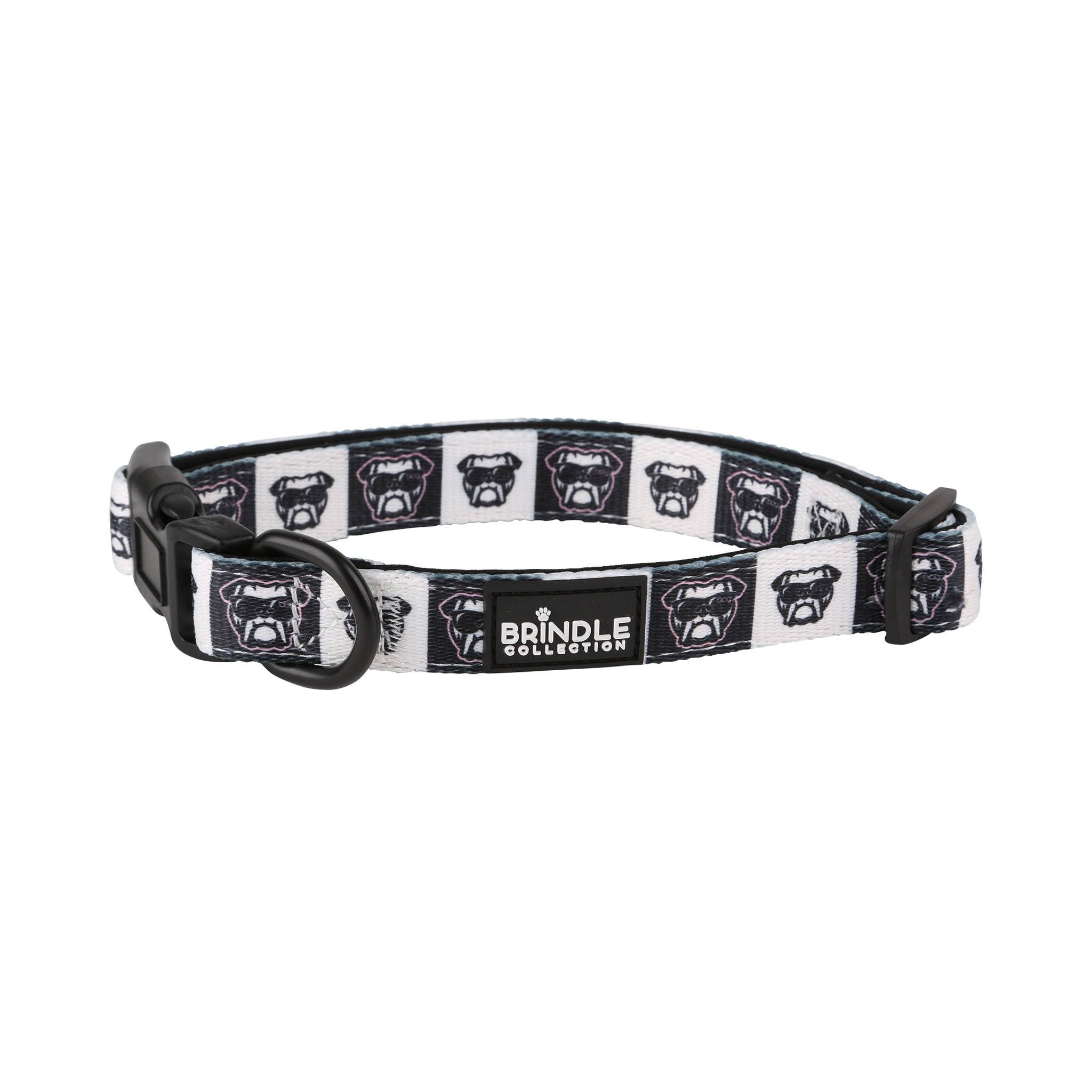 Dog Collar With Neoprene Backing - Large (Q168822)