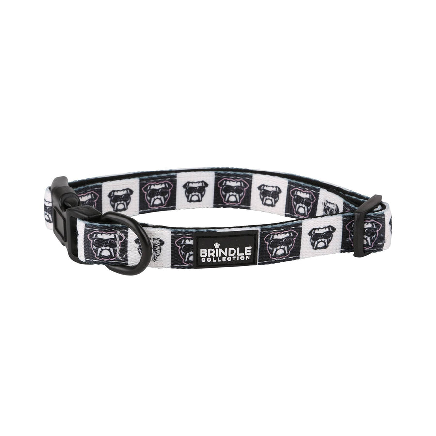Dog Collar With Neoprene Backing - Large (Q168822)