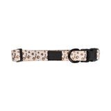Dog Collar With Neoprene Backing - Large (Q168822)