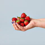 Modern Sprout Garden Seed Pop - Strawberry (Q176332)