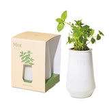 Modern Sprout Tapered Tumbler Grow Kit - White/Mint (Q186332)