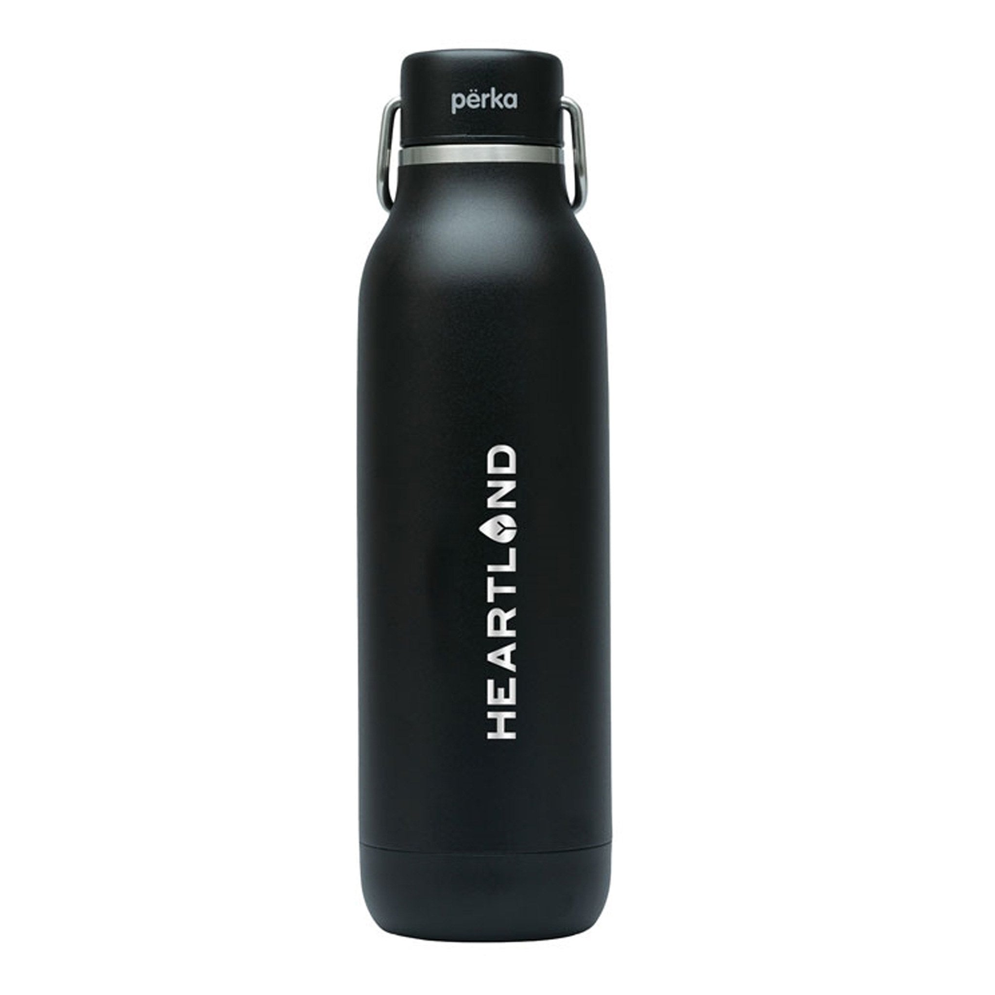 20 Oz. Perka® Dashing Stainless Steel Bottle (Q221722)