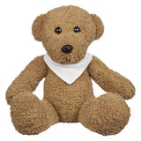 Ole' Time Rag Bear with Shirt (8.5") (Q223411)