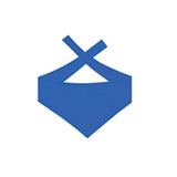 Ole' Time Rag Bear with Shirt (8.5") (Q223411)