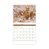 Wildlife Wall Calendars - Stapled (Q232011)